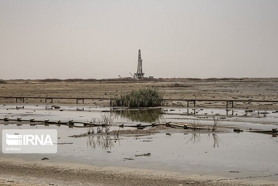 روزهای سخت تالاب هورالعظیم + عکس