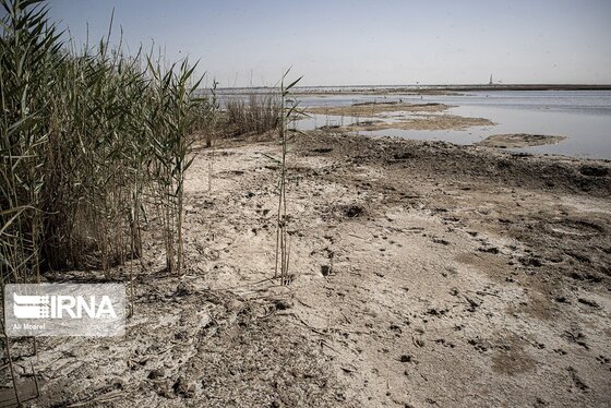روزهای سخت تالاب هورالعظیم + عکس