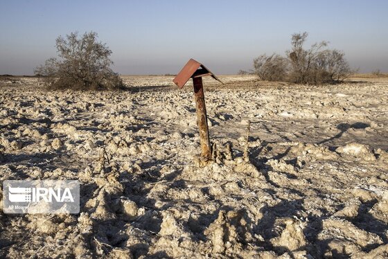 روزهای سخت تالاب هورالعظیم + عکس