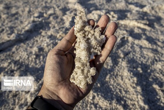 روزهای سخت تالاب هورالعظیم + عکس