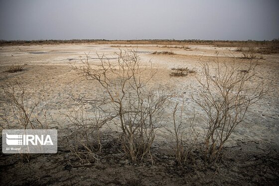روزهای سخت تالاب هورالعظیم + عکس