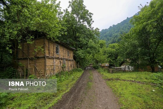 ایران زیباست | طبیعت بهاری «سیاهکل»