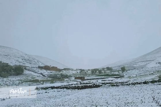 بارش برف در آخرین روز بهار در بامیان + عکس