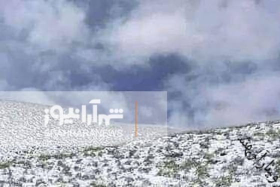 بارش برف در آخرین روز بهار در بامیان + عکس