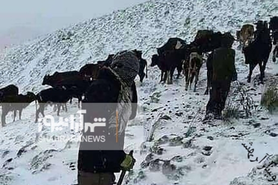 بارش برف در آخرین روز بهار در بامیان + عکس