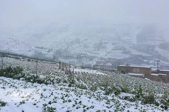 بارش برف در آخرین روز بهار در بامیان + عکس