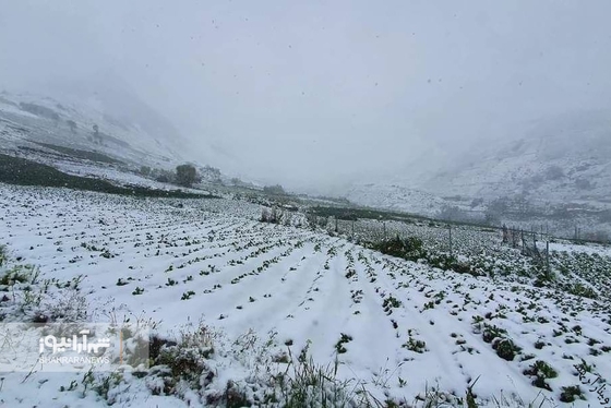 بارش برف در آخرین روز بهار در بامیان + عکس