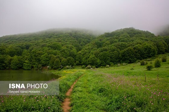 ایران زیباست | بره سر