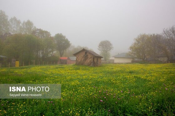 ایران زیباست | بره سر