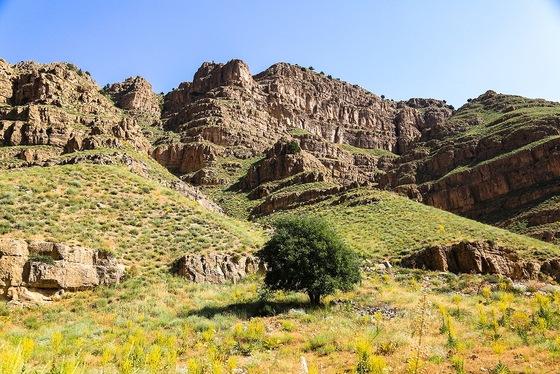 ایران زیباست | طبیعت پارک ملی تندوره