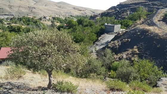 شهروند خبرنگار | تصاویری از روستای زیبای مایان طرقبه در حوالی مشهد