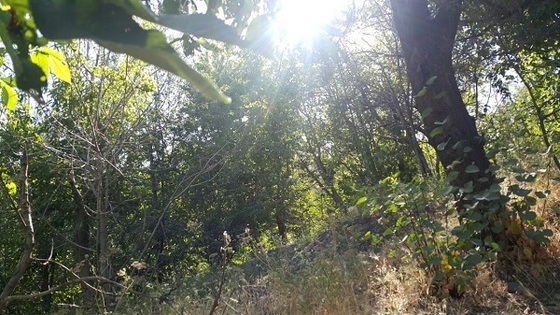 شهروند خبرنگار | تصاویری از روستای زیبای مایان طرقبه در حوالی مشهد