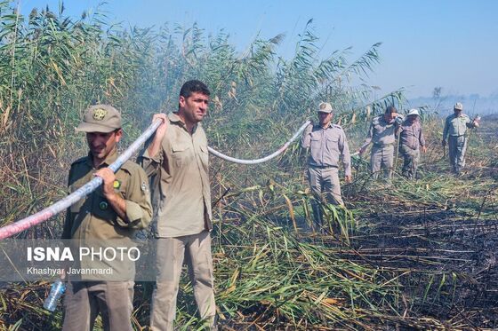 آتش سوزی تالاب انزلی اطفا شد + تصاویر