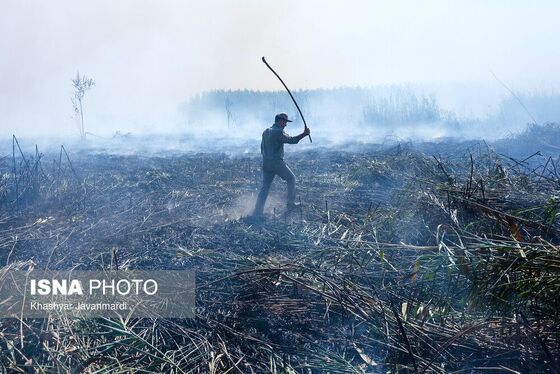 آتش سوزی تالاب انزلی اطفا شد + تصاویر