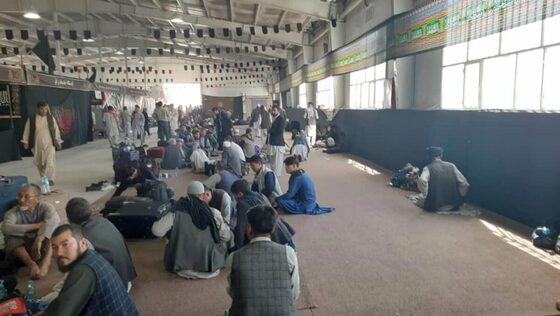 ۳۳ کاروان افغانستانی زائر کربلا وارد مرز دوغارون شدند