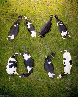 زیباترین تصاویر هوایی از مناظر طبیعی + عکس