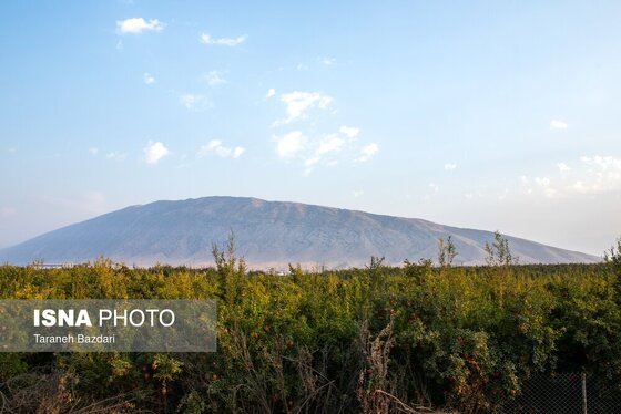 ایران زیباست | برداشت انار در لرستان