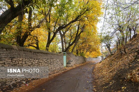 ایران زیباست | خزان در کوچه باغ‌های همدان