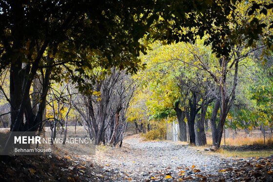 ایران زیباست | روستای دِلارام؛ «دهکده پزشکان»