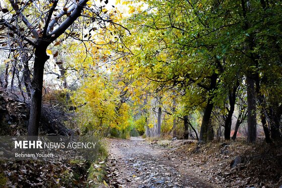 ایران زیباست | روستای دِلارام؛ «دهکده پزشکان»