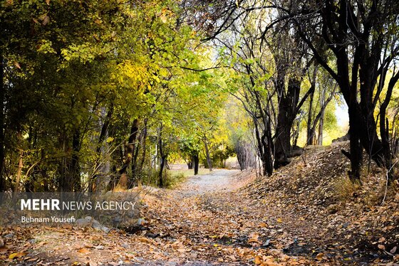 ایران زیباست | روستای دِلارام؛ «دهکده پزشکان»