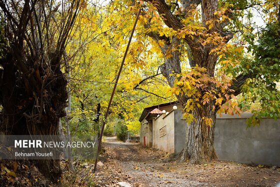 ایران زیباست | روستای دِلارام؛ «دهکده پزشکان»