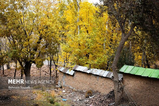ایران زیباست | روستای دِلارام؛ «دهکده پزشکان»