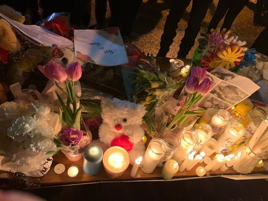 نقاشی برای «ری‌را» دختر حامد اسماعیلیون+تصویر