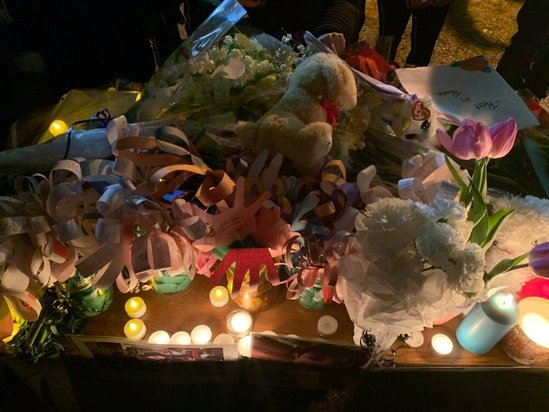 نقاشی برای «ری‌را» دختر حامد اسماعیلیون+تصویر