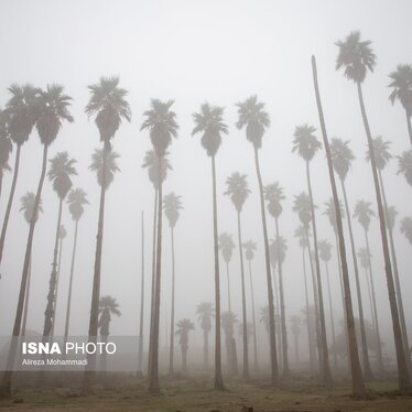 مه‌گرفتگی شدید در اهواز + تصاویر