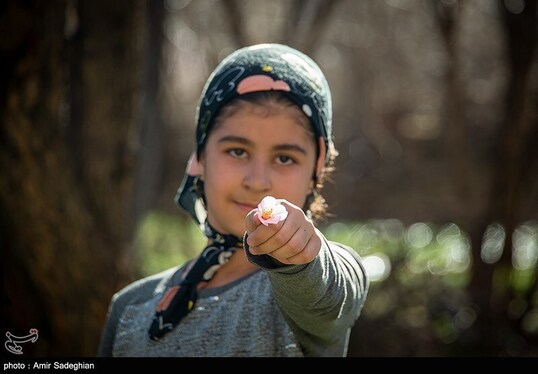 ایران زیباست | اندک اندک می‌رسد اینک بهار