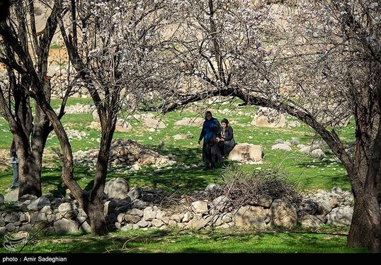 ایران زیباست | اندک اندک می‌رسد اینک بهار