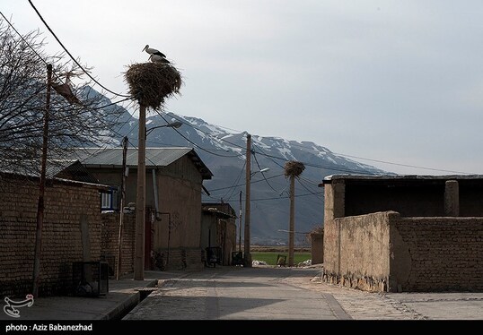 ایران زیباست | همزیستی لک لک‌ها در روستای کپر جودکی بروجرد با مردم روستا