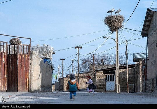 ایران زیباست | همزیستی لک لک‌ها در روستای کپر جودکی بروجرد با مردم روستا