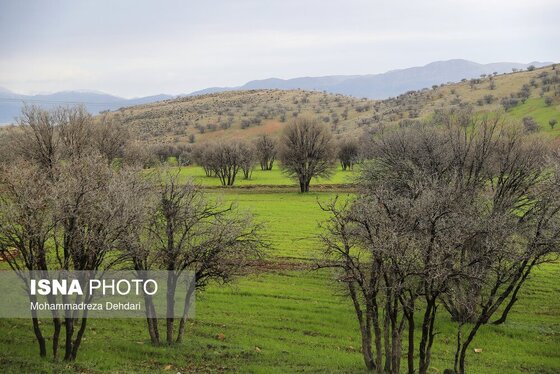 ایران زیباست | زمستان بَهاری در فارس