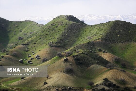 ایران زیباست | زمستان بَهاری در فارس