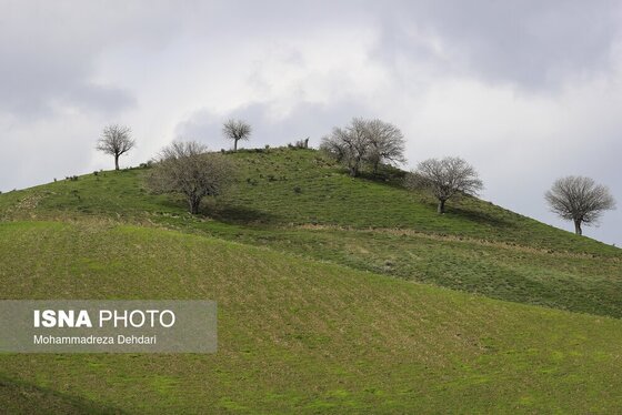 ایران زیباست | زمستان بَهاری در فارس