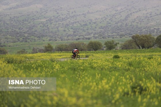ایران زیباست | زمستان بَهاری در فارس