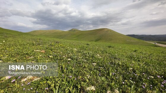 ایران زیباست | زمستان بَهاری در فارس