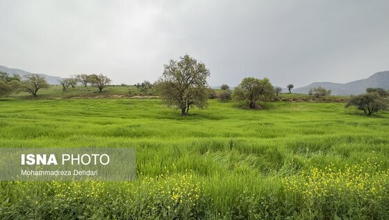 ایران زیباست | زمستان بَهاری در فارس