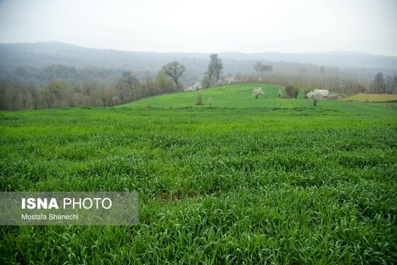 ایران زیباست | طبیعت بهاری روستاهای اطراف ساری