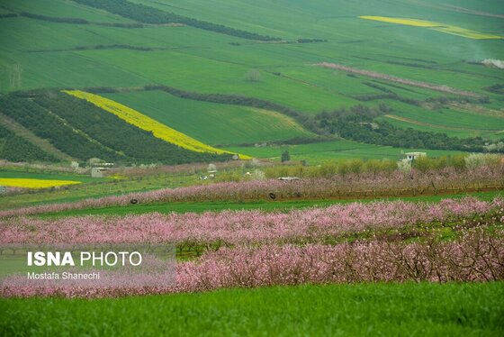 ایران زیباست | طبیعت بهاری روستاهای اطراف ساری