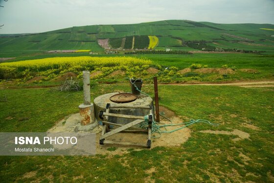 ایران زیباست | طبیعت بهاری روستاهای اطراف ساری