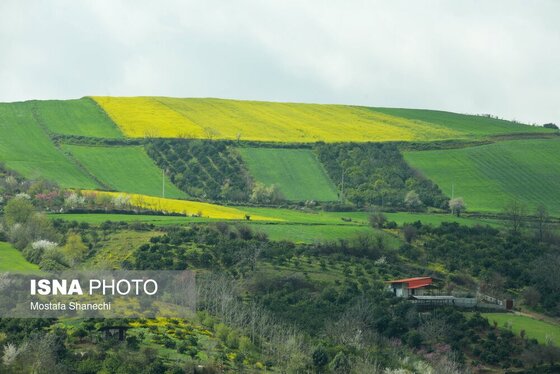ایران زیباست | طبیعت بهاری روستاهای اطراف ساری