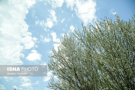 ایران زیباست | طبیعت بهاری روستاهای اطراف ساری