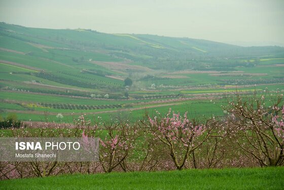 ایران زیباست | طبیعت بهاری روستاهای اطراف ساری