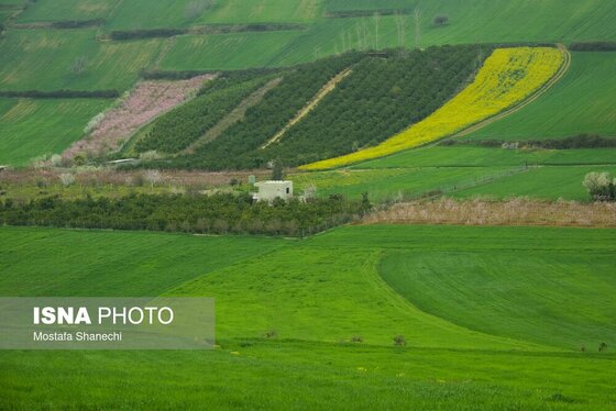 ایران زیباست | طبیعت بهاری روستاهای اطراف ساری