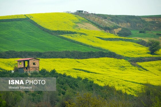 ایران زیباست | طبیعت بهاری روستاهای اطراف ساری