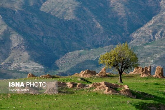 ایران زیباست | طبیعت بهاری چهارمحال و بختیاری