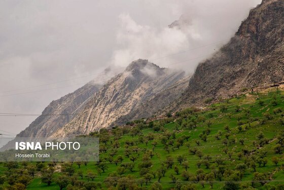 ایران زیباست | طبیعت بهاری چهارمحال و بختیاری